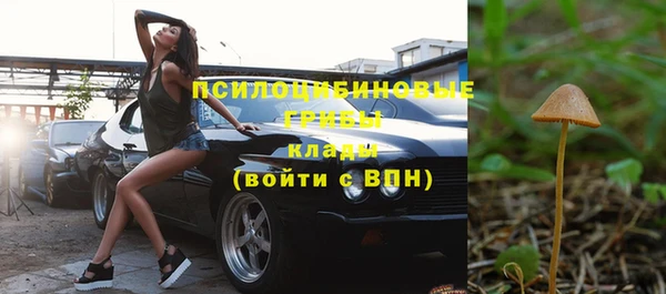 2c-b Алексин